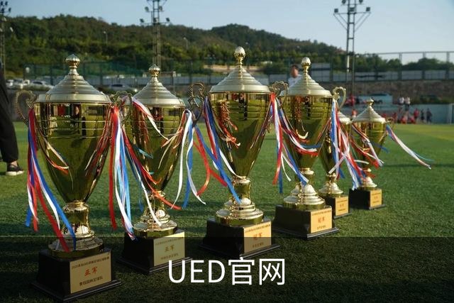 UED官网公司简介